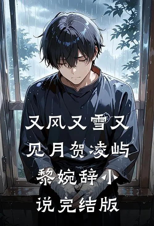 又风又雪又见月贺凌屿黎婉辞小说完结版