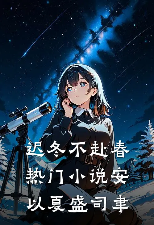 迟冬不赴春热门小说安以夏盛司聿