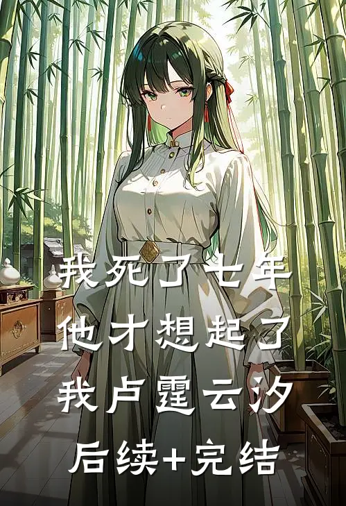 我死了七年，他才想起了我卢霆云汐后续+完结
