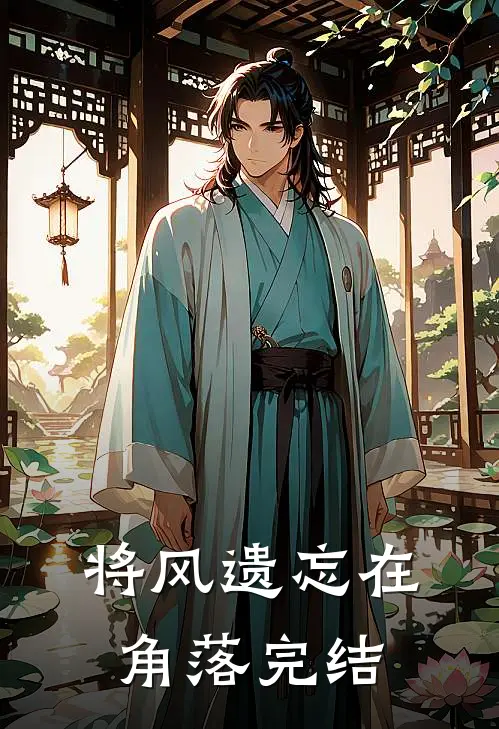 将风遗忘在角落完结