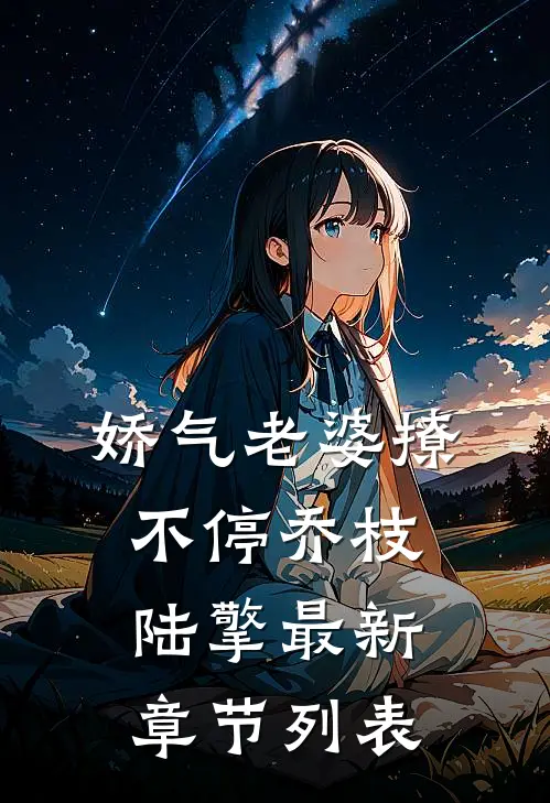 娇气老婆撩不停乔枝陆擎最新章节列表