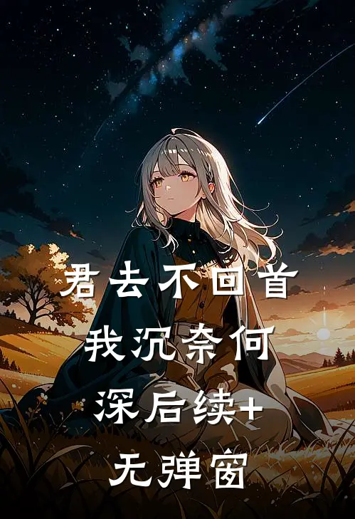 君去不回首，我沉奈何深后续+无弹窗