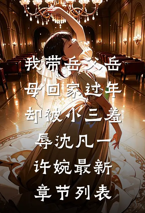 我带岳父岳母回家过年，却被小三羞辱沈凡一许婉最新章节列表