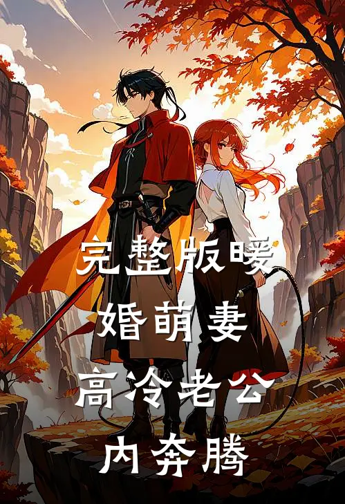 完整版暖婚萌妻：高冷老公内奔腾