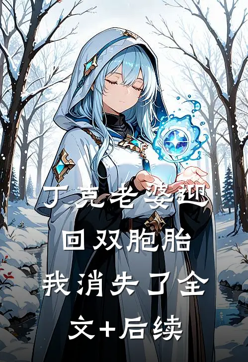 丁克老婆迎回双胞胎，我消失了全文+后续