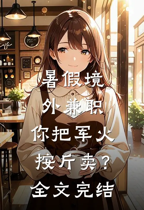 暑假境外兼职，你把军火按斤卖？全文完结