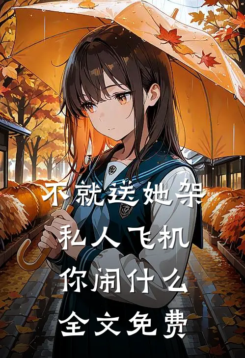 不就送她架私人飞机，你闹什么全文免费
