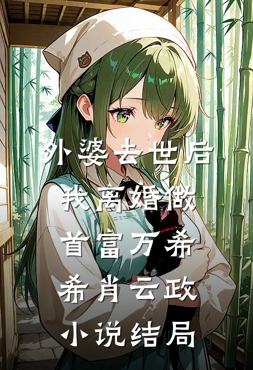 外婆去世后，我离婚做首富万希希肖云政小说结局