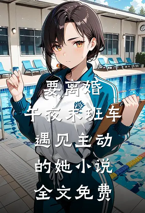 要离婚，午夜末班车遇见主动的她小说全文免费
