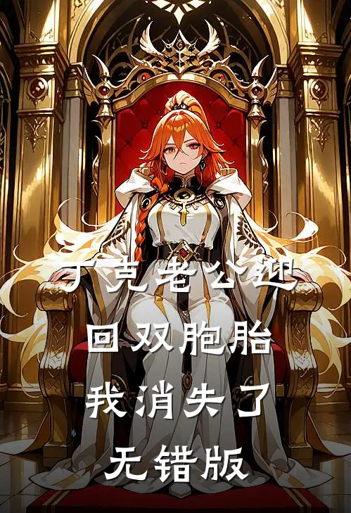 丁克老公迎回双胞胎，我消失了无错版