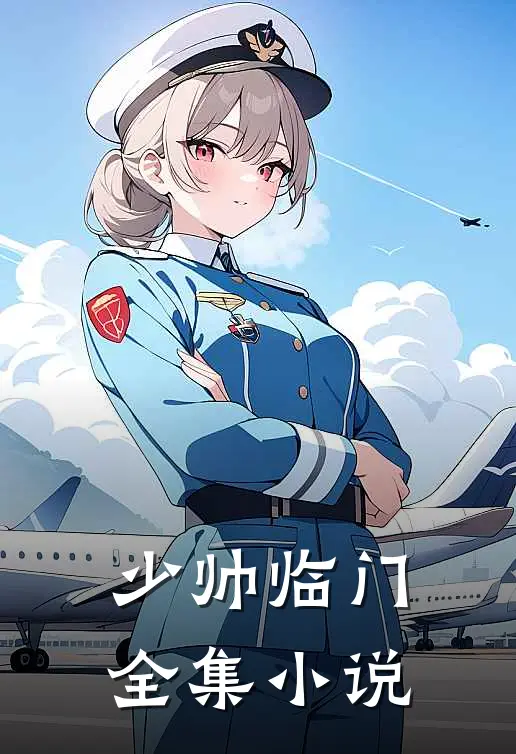 少帅临门全集小说