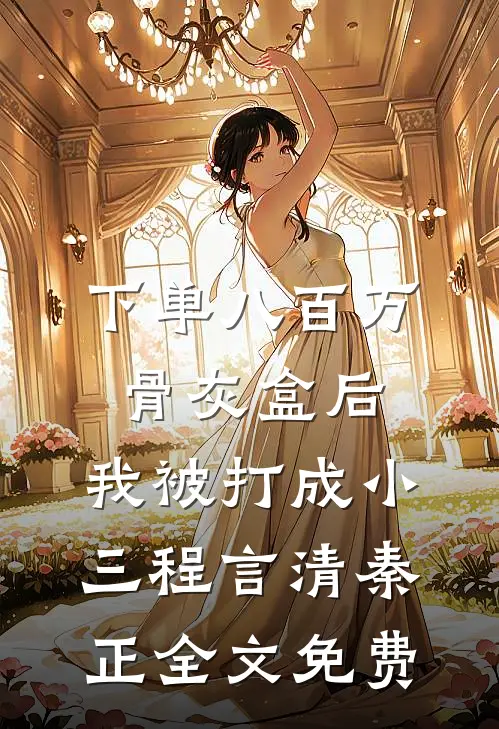 下单八百万骨灰盒后，我被打成小三程言清秦正全文免费
