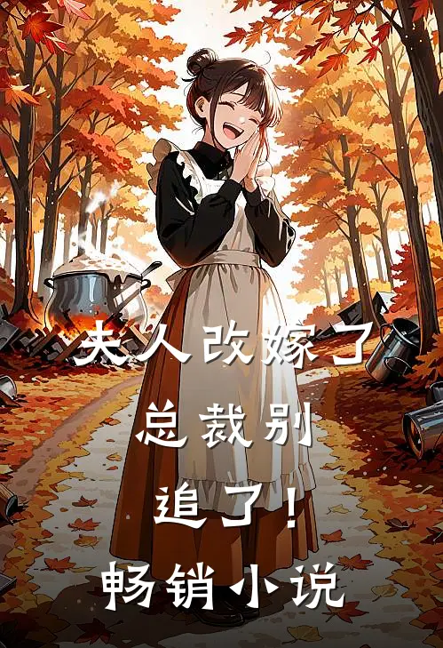 夫人改嫁了，总裁别追了！畅销小说