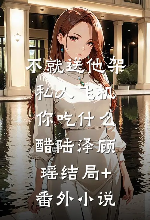 不就送他架私人飞机，你吃什么醋陆泽顾瑶结局+番外小说