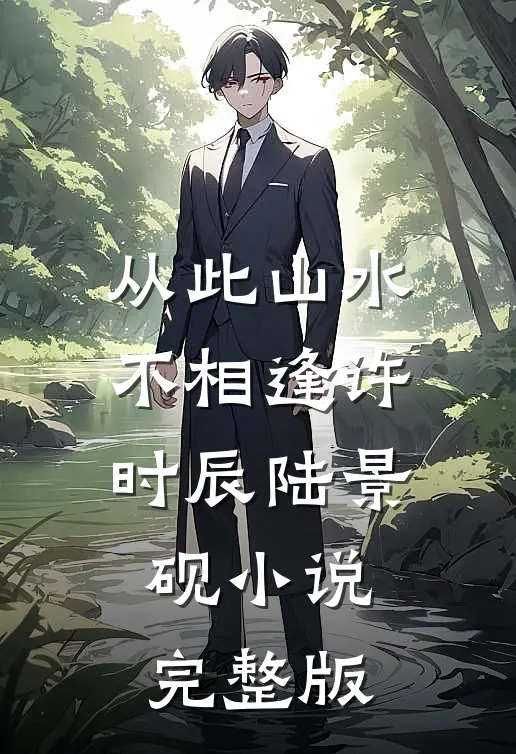从此山水不相逢许时辰陆景砚小说完整版