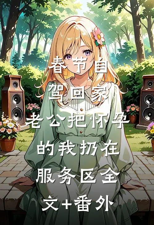 春节自驾回家，老公把怀孕的我扔在服务区全文+番外