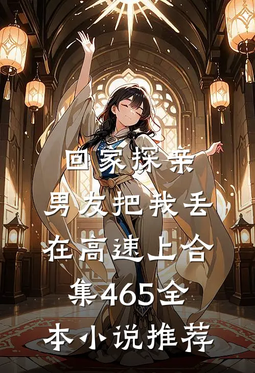 回家探亲，男友把我丢在高速上合集465全本小说推荐
