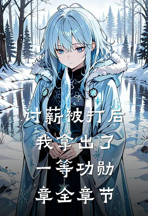 讨薪被打后，我拿出了一等功勋章全章节