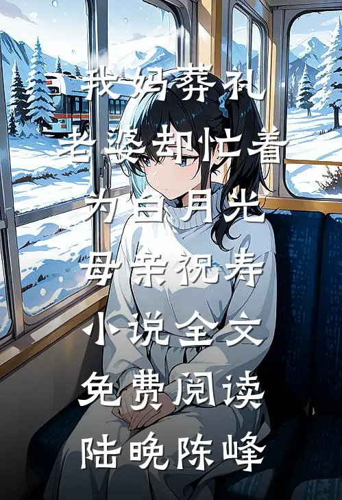 我妈葬礼，老婆却忙着为白月光母亲祝寿小说全文免费阅读陆晚陈峰