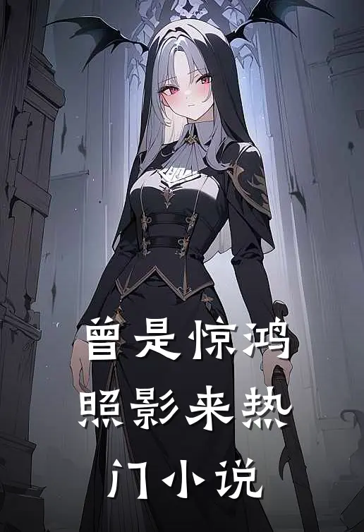 曾是惊鸿照影来热门小说