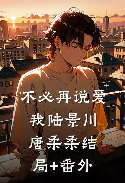 不必再说爱我陆景川唐柔柔结局+番外