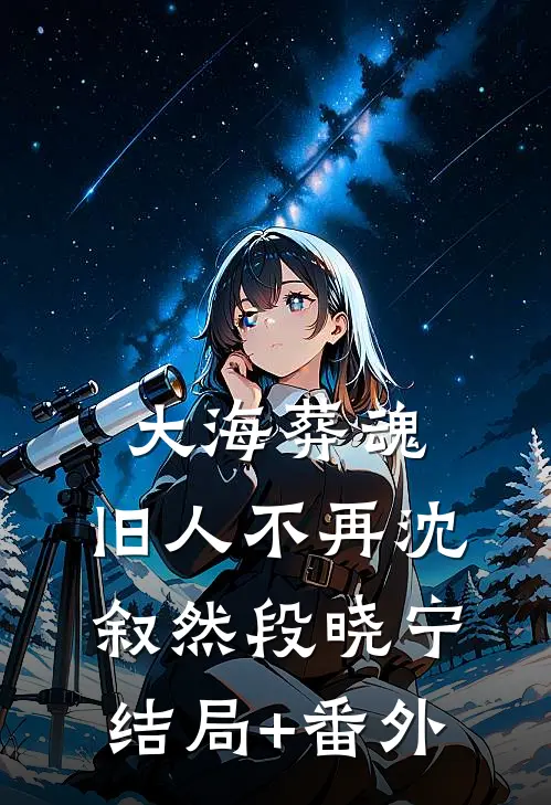 大海葬魂，旧人不再沈叙然段晓宁结局+番外