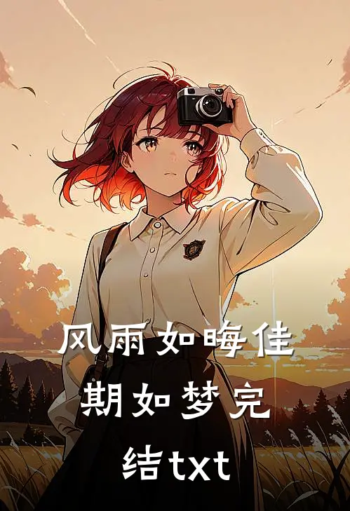 风雨如晦佳期如梦完结txt