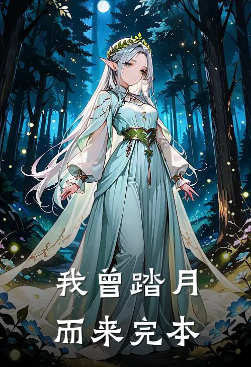 我曾踏月而来完本