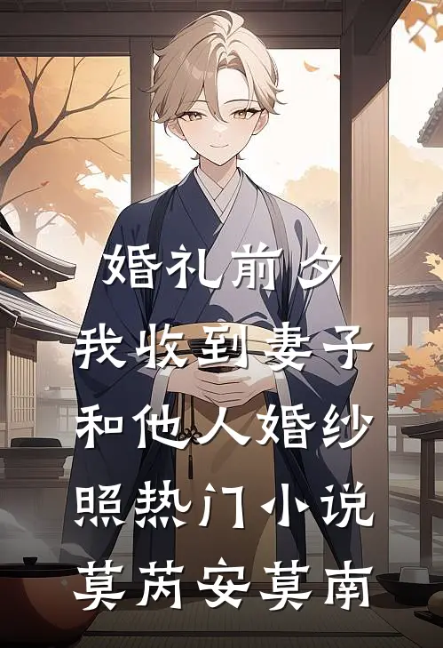 婚礼前夕，我收到妻子和他人婚纱照热门小说莫芮安莫南
