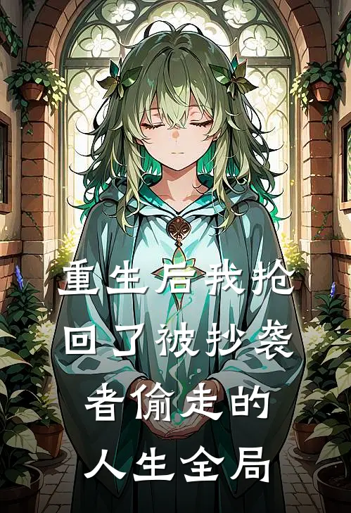 重生后我抢回了被抄袭者偷走的人生全局