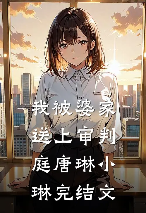 我被婆家送上审判庭唐琳小琳完结文