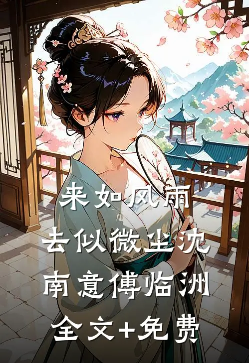 来如风雨，去似微尘沈南意傅临洲全文+免费