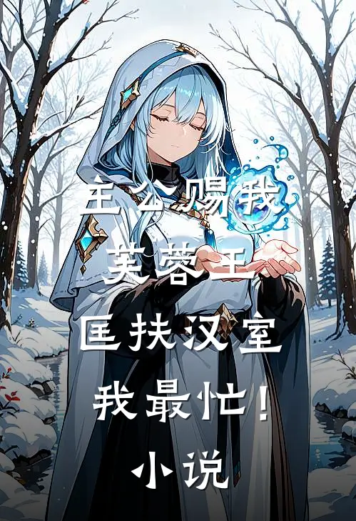 主公赐我芙蓉王，匡扶汉室我最忙！小说