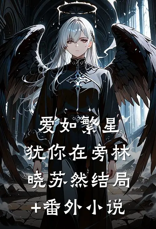 爱如繁星，犹你在旁林晓苏然结局+番外小说