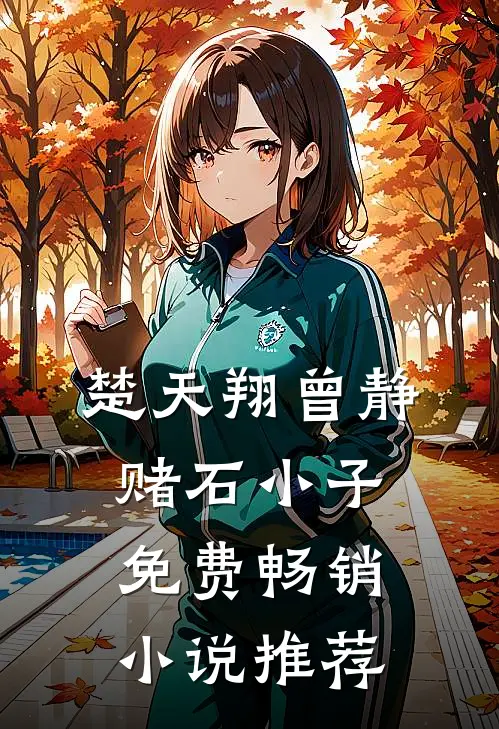楚天翔曾静赌石小子免费畅销小说推荐