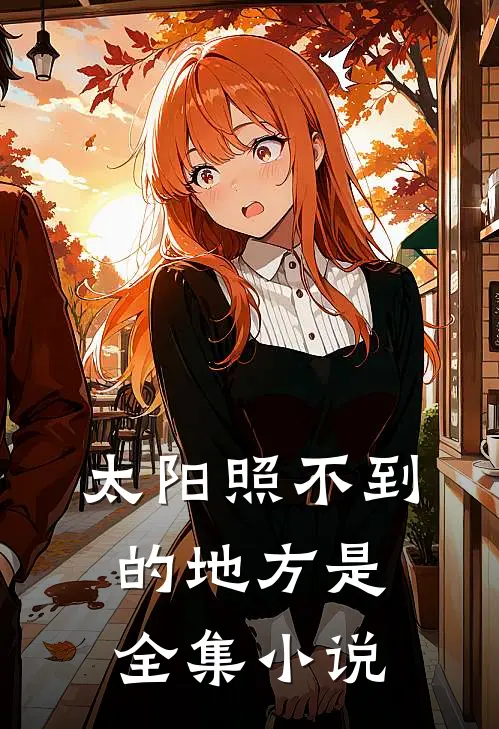 太阳照不到的地方是全集小说