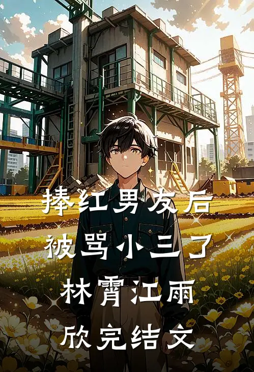 捧红男友后，被骂小三了林霄江雨欣完结文