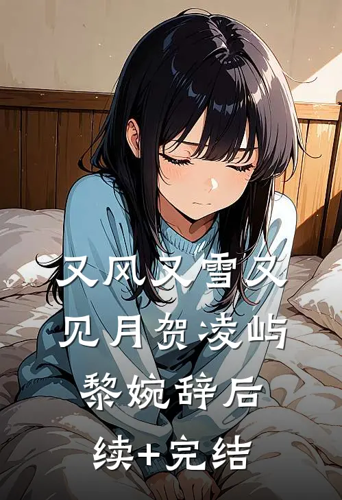 又风又雪又见月贺凌屿黎婉辞后续+完结