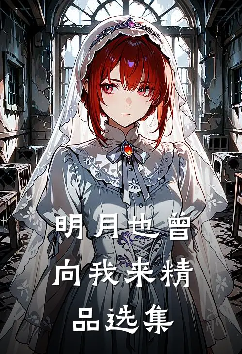 明月也曾向我来精品选集