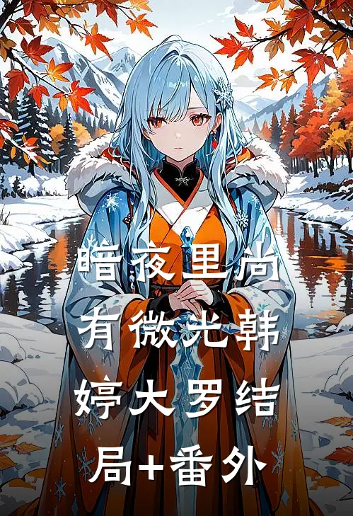 暗夜里尚有微光韩婷大罗结局+番外