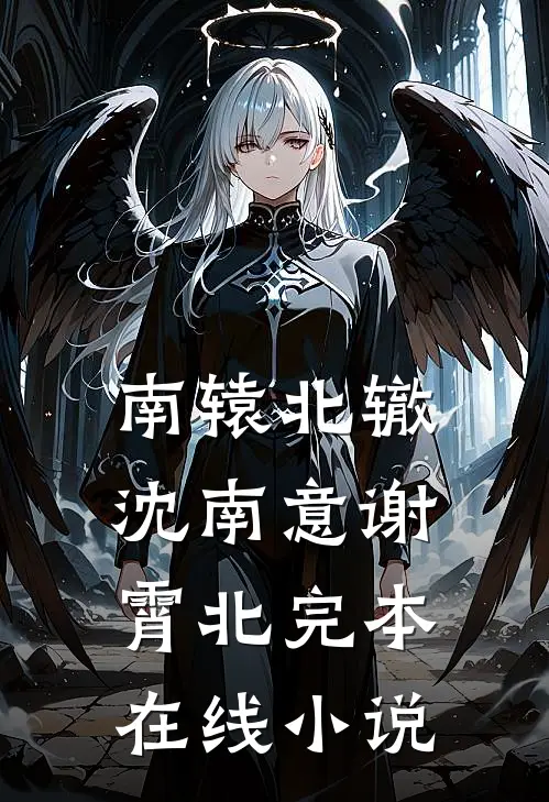 南辕北辙沈南意谢霄北完本在线小说