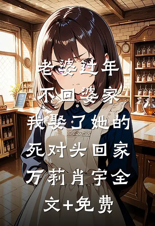 老婆过年不回婆家，我娶了她的死对头回家万莉肖宇全文+免费