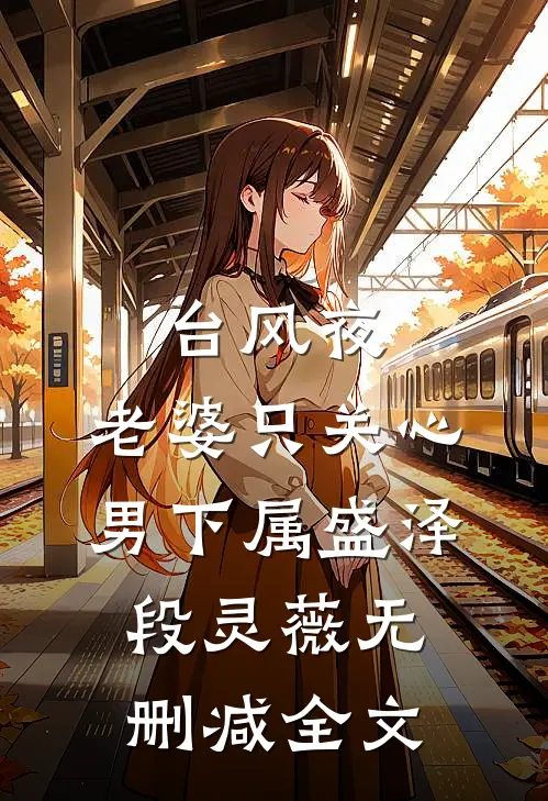 台风夜，老婆只关心男下属盛泽段灵薇无删减全文