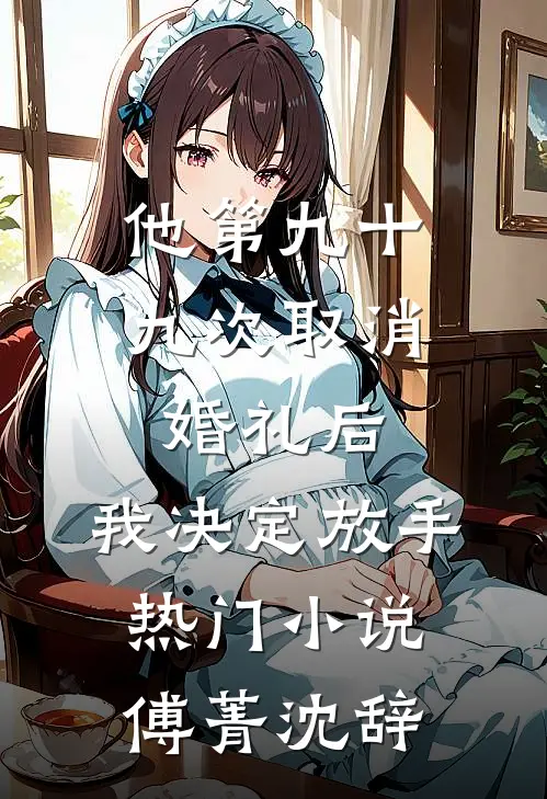 他第九十九次取消婚礼后，我决定放手热门小说傅菁沈辞
