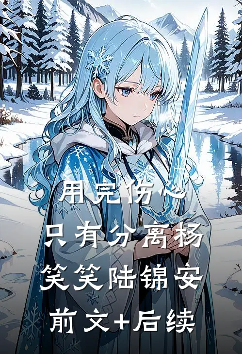 用完伤心，只有分离杨笑笑陆锦安前文+后续