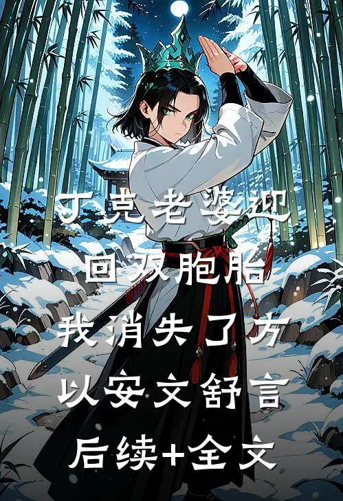 丁克老婆迎回双胞胎，我消失了方以安文舒言后续+全文