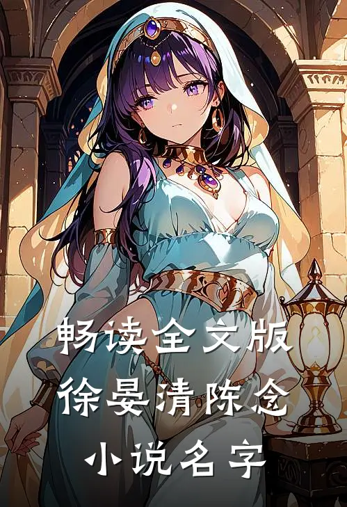 畅读全文版徐晏清陈念小说名字