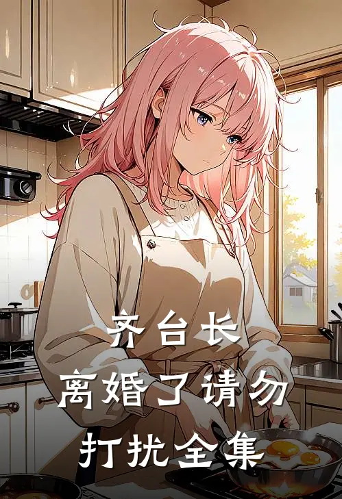 齐台长，离婚了请勿打扰全集