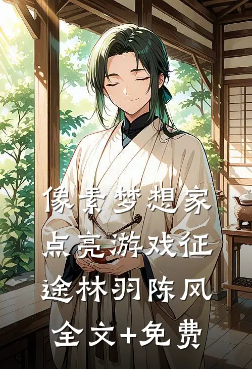 像素梦想家：点亮游戏征途林羽陈风全文+免费