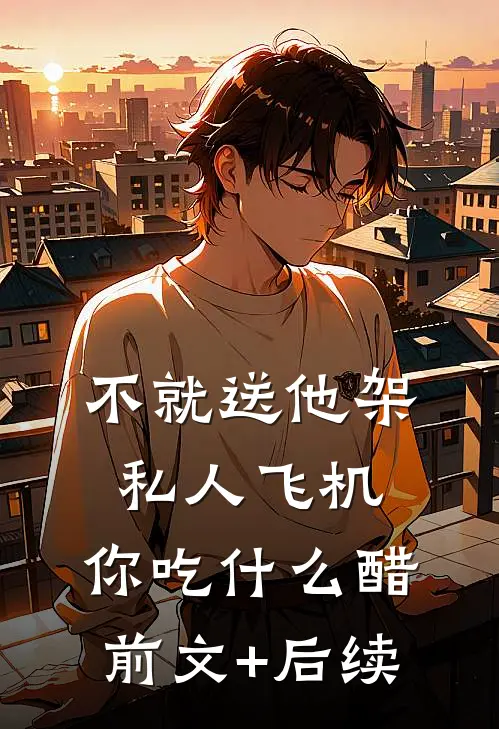 不就送他架私人飞机，你吃什么醋前文+后续